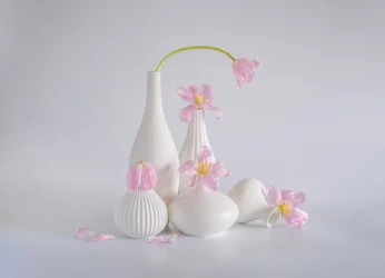 Zachtroze tulpenstilleven