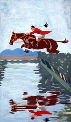 Water sprong