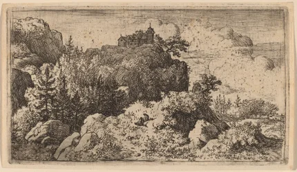Sparren in de Kloof