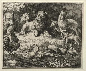 Reinaert de vos: De klacht van de haan