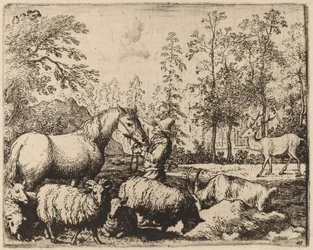 Het paard en het hert