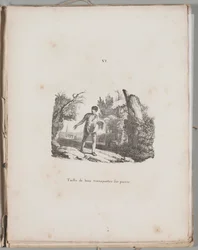 Kunst van de Lithografie: Overdracht van een Houtsnede, Plaat VI