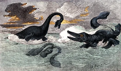 Lias Periode (Onder Jura): Plesiosaurus en Ichthyosaurus, natuurlijke creatie en levende wezens (door Jules Rengade) Tekening door A. Demarle. 1885