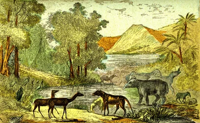 Prehistorie - Eoceen Periode: Van rechts naar links: Paloeotherium, Anoplotherium, Xiphodonts en de vogels Tantalus. Natuurlijke creatie en levende wezens. Tekening door A. Demarle. 1885