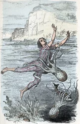 Zoologische plaat; koppotige weekdieren, zwemmer gegrepen door een grote octopus en musquee eledone (Zoologische plaat: zwemmer gegrepen door een octopus) Gravure uit 