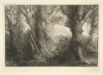 In het bos van Conteville