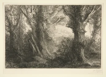 In het bos van Conteville