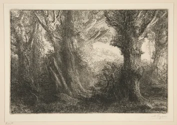 In het Bos van Conteville