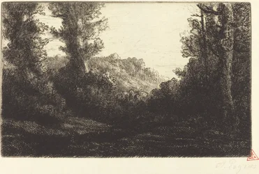 Rand van een bos Lisiere de bois