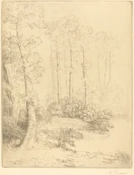 Rand van het Water Au bord de l