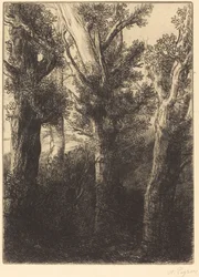 Duitse Bos, Downley