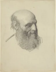 Hoofd van een man met een baard