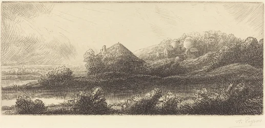 Hut in het moeras