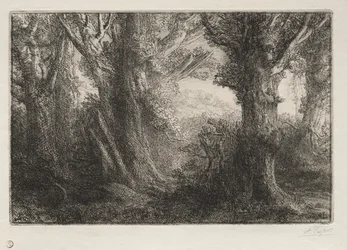In het bos bij Conteville