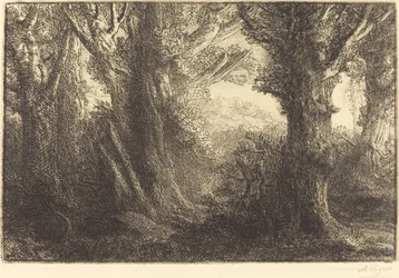 In het bos van Conteville
