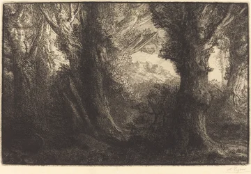 In het bos van Conteville