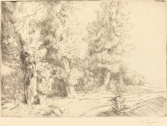 In het Bos van Fontainebleau