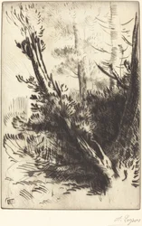 In het bos