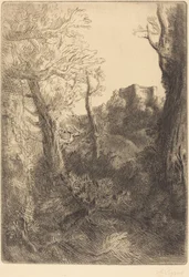 Landschap