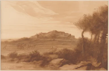 Landschap