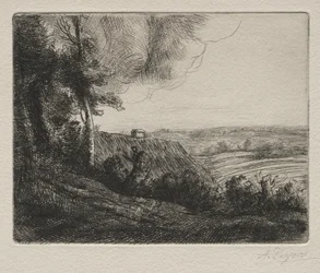 Landschap