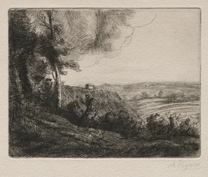 Landschap