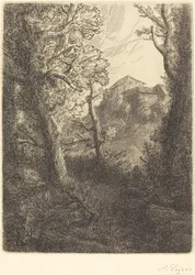 Landschap Paysage
