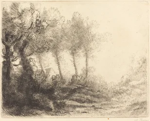 Landschap Paysage