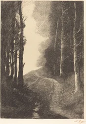 Landschap met Berkenbomen
