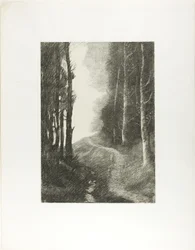 Landschap met berkenbomen