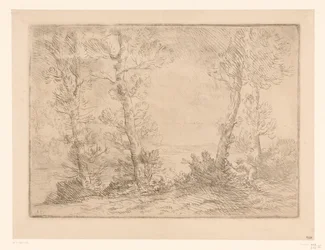 Landschap met visser