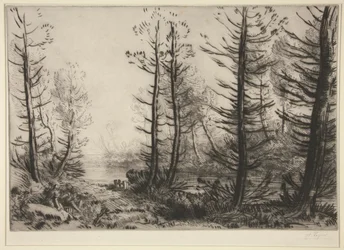 Het grote kanaal