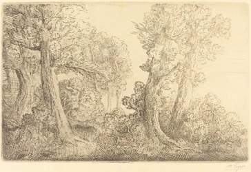 Bij het bos, Veronne
