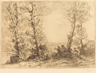 Zalmvisser