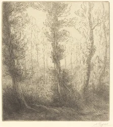 Klein Meer (Le petit lac)