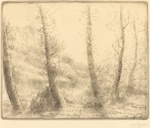 Klein Meer Le petit lac