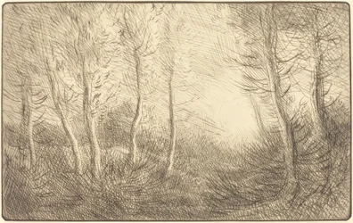 Zonsopgang, Bossen van Clamard Lever du soleil, bois de Clamard
