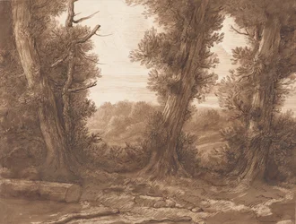 De Grote Bomen