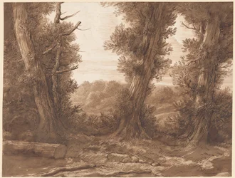 De grote bomen