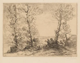 De Zalmvisser (Le Pêcheur du Saumon)