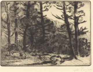 Woods in Winter Sun, 2e plaat Soleil d