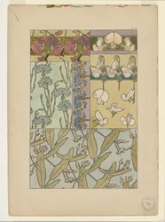 Documents Decoratifs: Lathyrus
