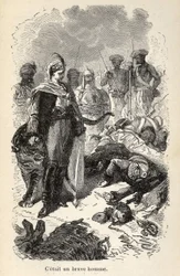 Illustratie van de 