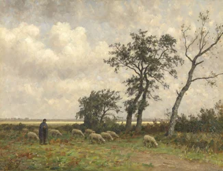 Landschap in Drenthe