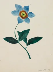 Sterbloem (aquarel)