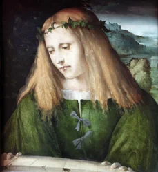 Narcissus bij de fontein