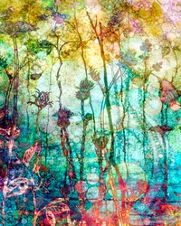 Een rijk tapijt (warm), 2014