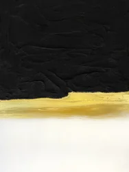 Zwartgouden horizon