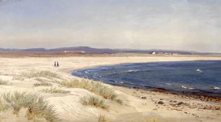 Noors:  Mennesker på en strand Mensen op een strand
