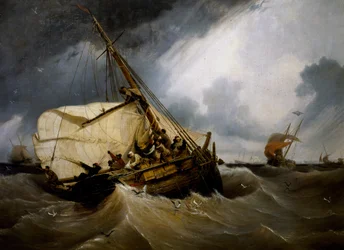 Kabeljauw vissen